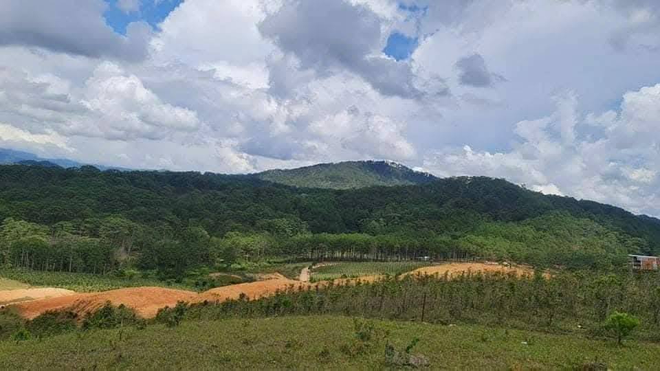CẦN BÁN GẤP LÔ ĐẤT VIEW ĐẸP TẠI ĐASAR - LẠC DƯƠNG 4900m2 giá chỉ 3 tỷ - Ảnh 2